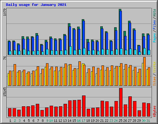 Daily usage for January 2021