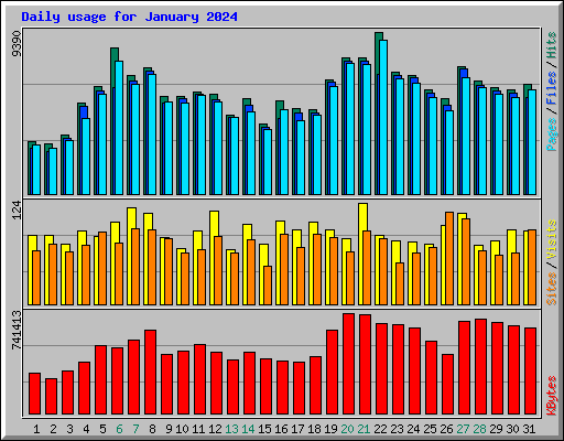 Daily usage for January 2024