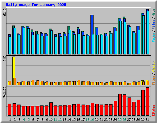 Daily usage for January 2025