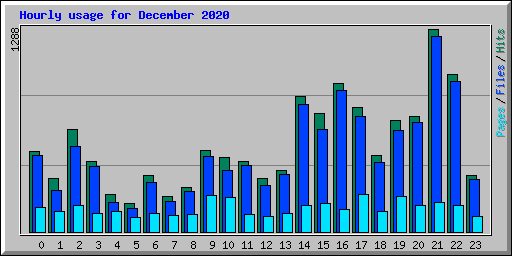 Hourly usage for December 2020