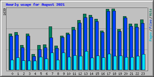 Hourly usage for August 2021