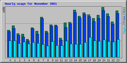 Hourly usage for November 2021