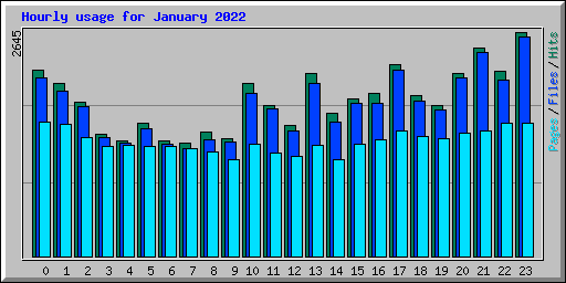 Hourly usage for January 2022