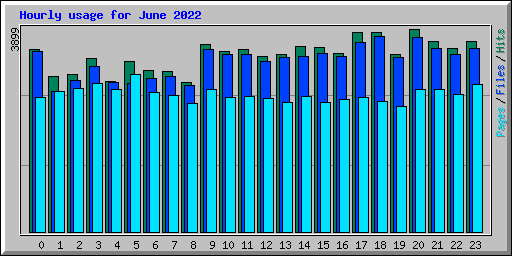 Hourly usage for June 2022