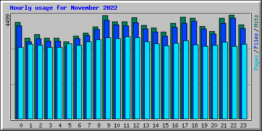Hourly usage for November 2022