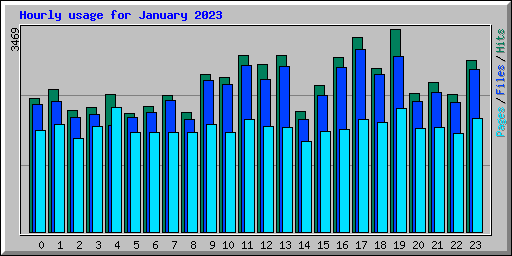 Hourly usage for January 2023