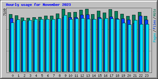 Hourly usage for November 2023