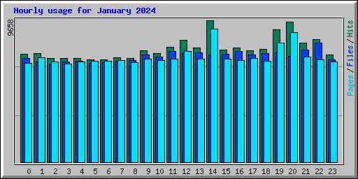 Hourly usage for January 2024