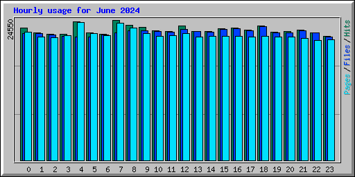 Hourly usage for June 2024