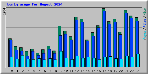 Hourly usage for August 2024