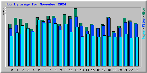 Hourly usage for November 2024