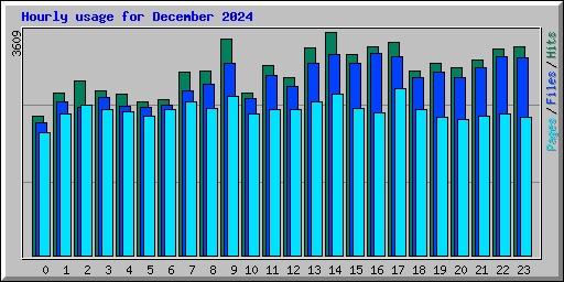 Hourly usage for December 2024