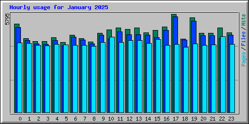 Hourly usage for January 2025
