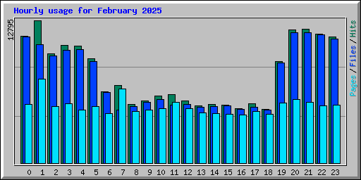 Hourly usage for February 2025