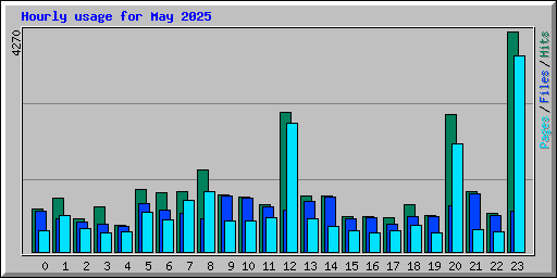 Hourly usage for May 2025