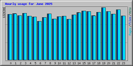 Hourly usage for June 2025
