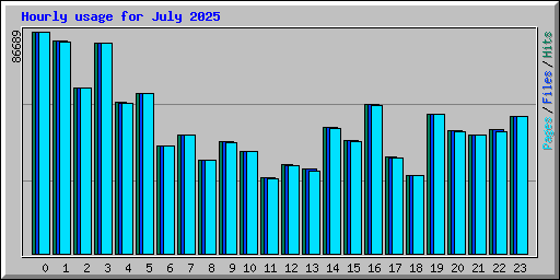 Hourly usage for July 2025